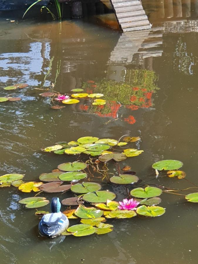 La Mare Aux Canards Sassetot-le-Mauconduit Dış mekan fotoğraf